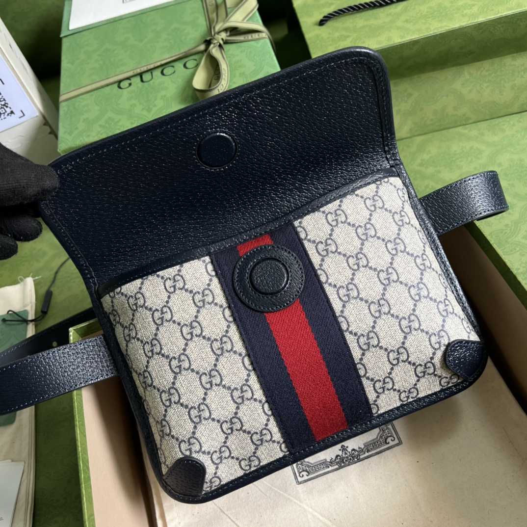 Gucci Ophidia Belt Bag(22*17*3.5cm) - FashionPlug