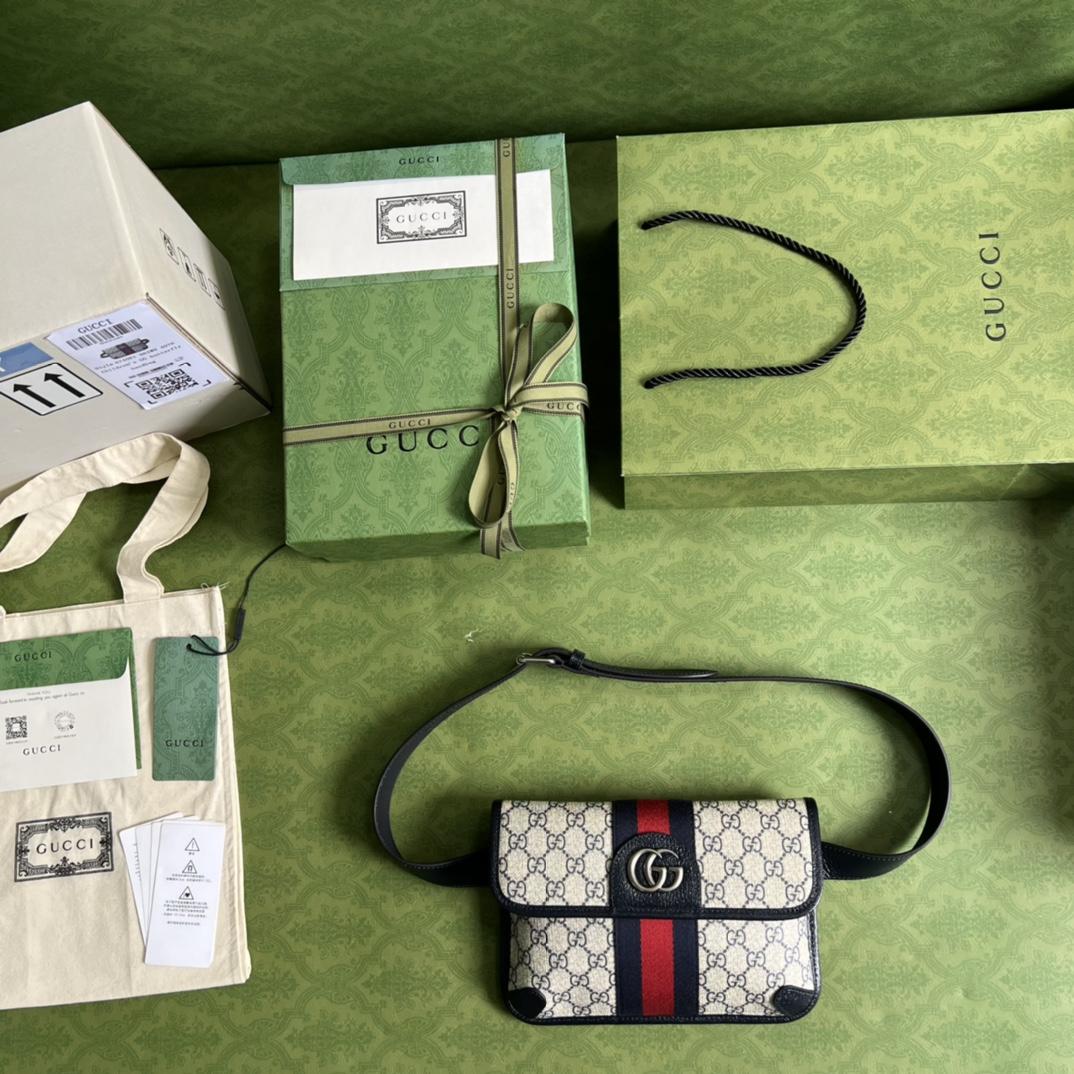 Gucci Ophidia Belt Bag(22*17*3.5cm) - FashionPlug