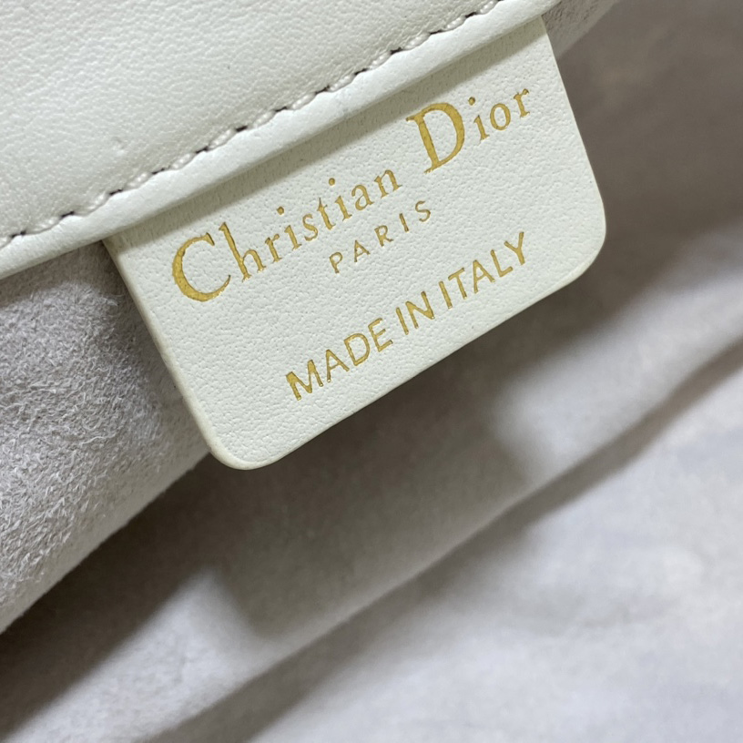 Dior Medium Dior Ammi Bag - FashionPlug