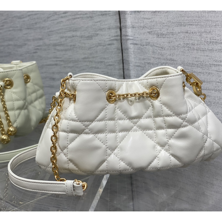 Dior Medium Dior Ammi Bag - FashionPlug