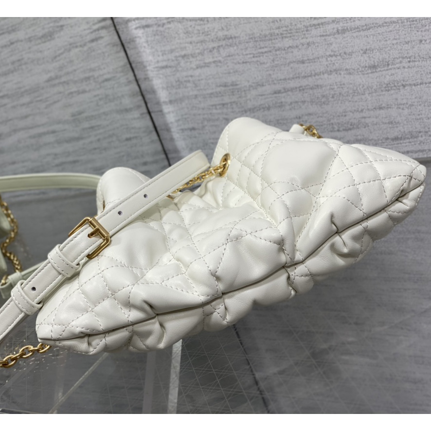 Dior Medium Dior Ammi Bag - FashionPlug