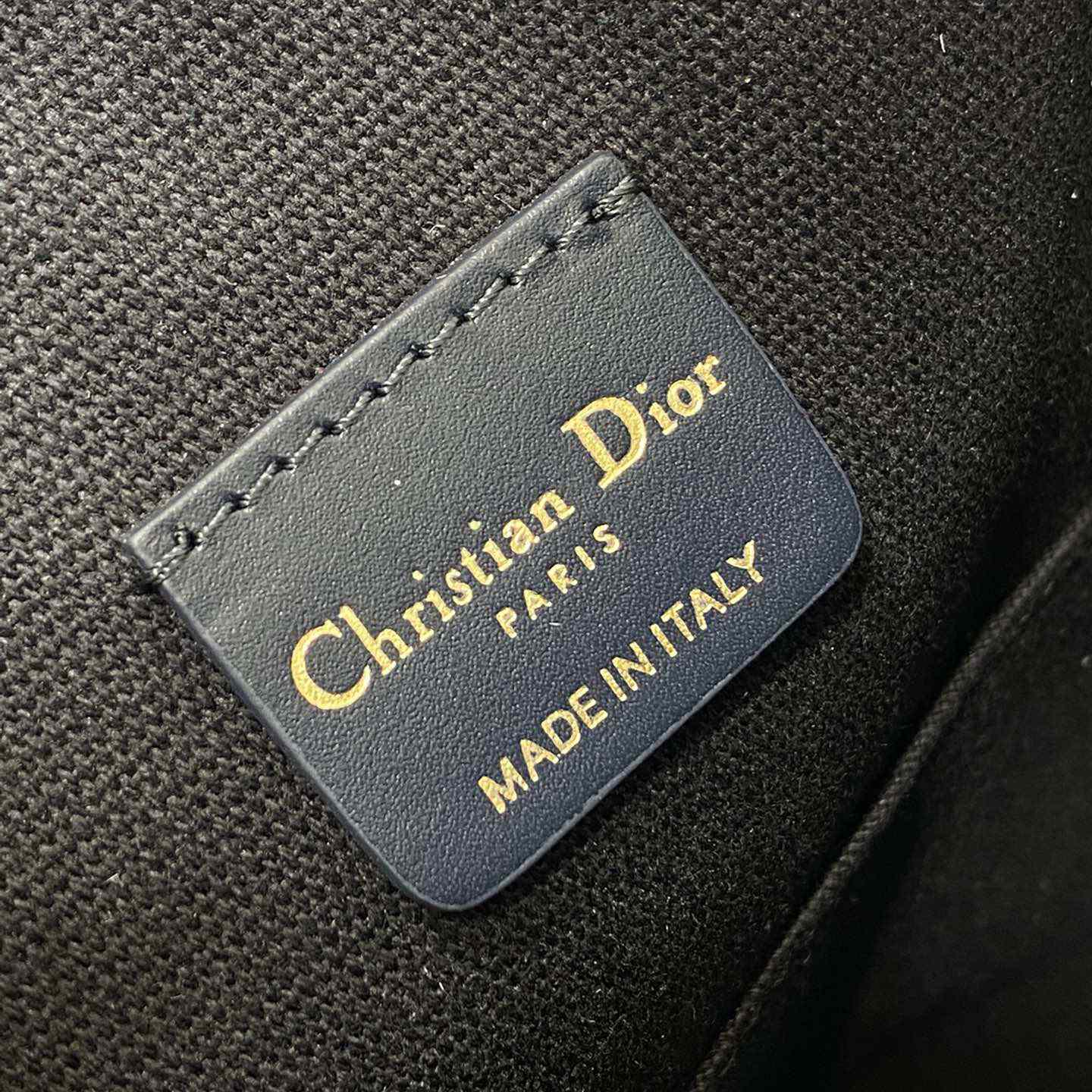 Dior Medium C'est Dior Bag - FashionPlug