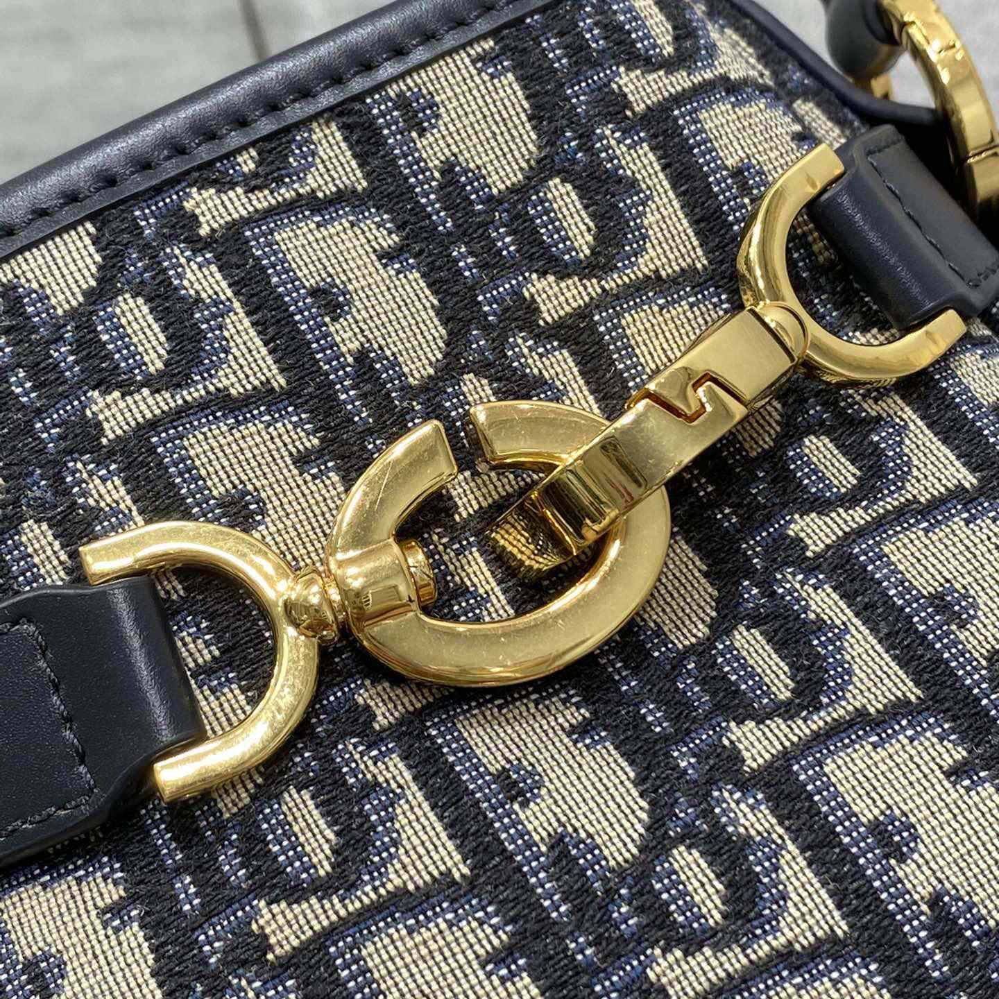Dior Medium C'est Dior Bag - FashionPlug
