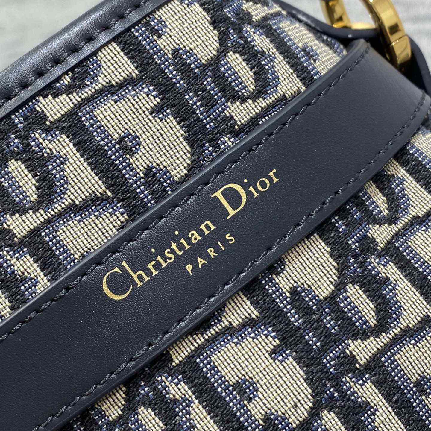 Dior Medium C'est Dior Bag - FashionPlug