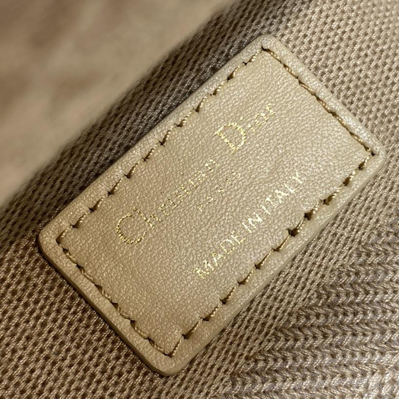 Dior Medium Lady D-lite Bag - FashionPlug