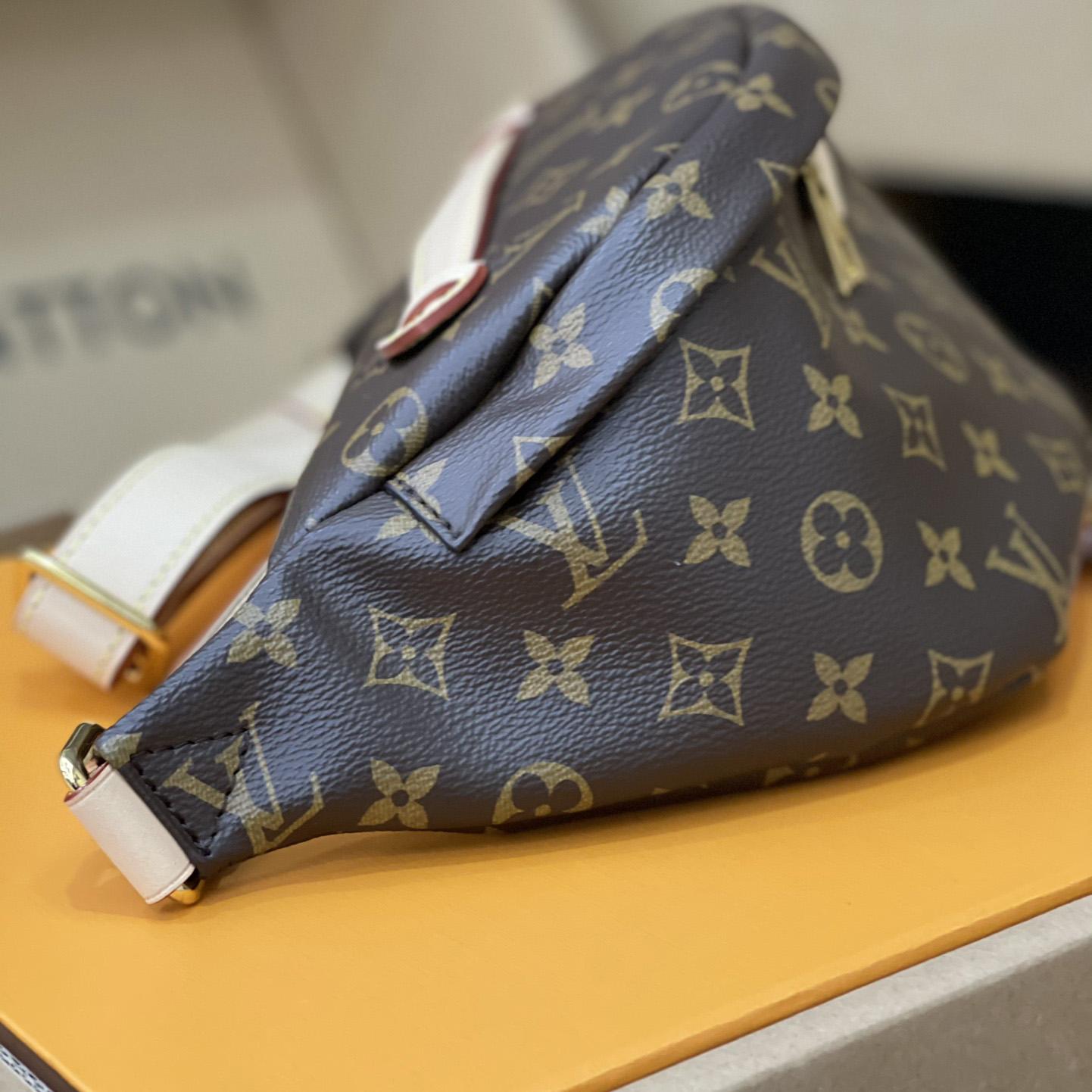 Louis Vuitton Bumbag(37-14-13cm)      M43644 - FashionPlug