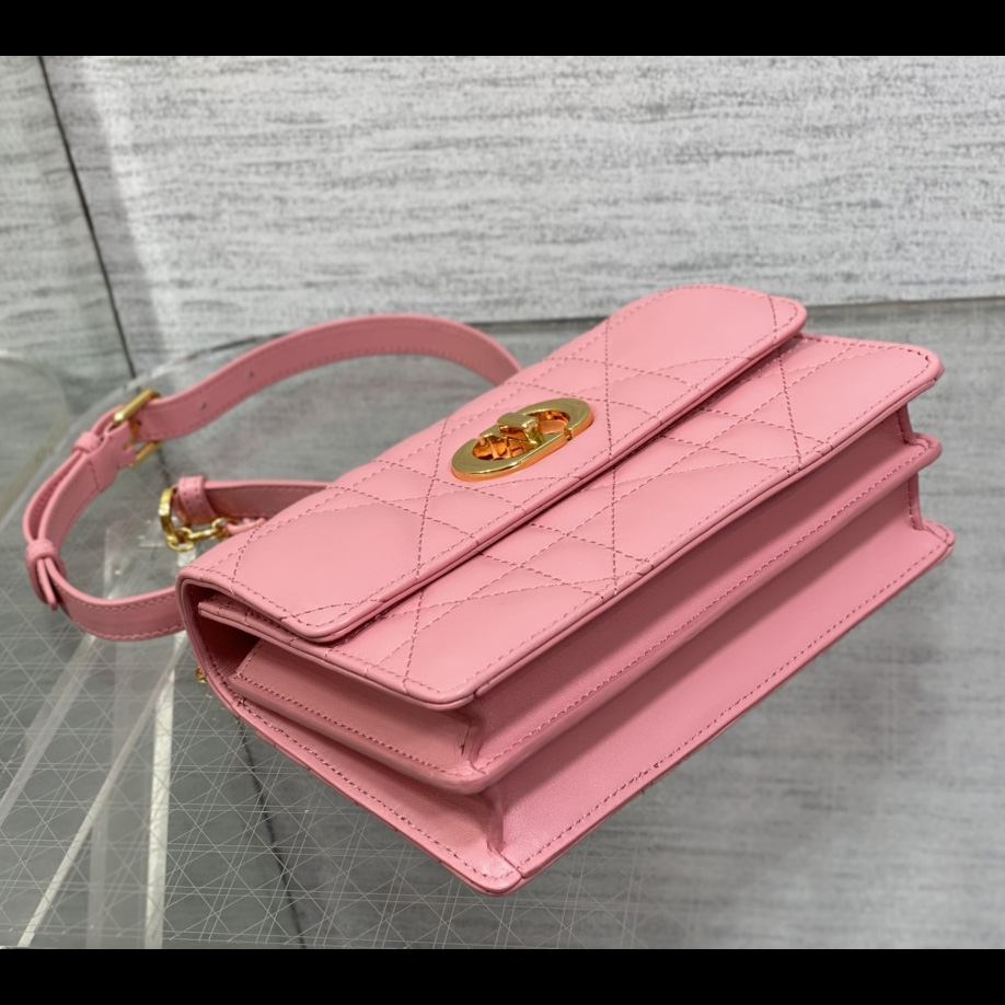 Dior Miss Caro Mini Bag - FashionPlug