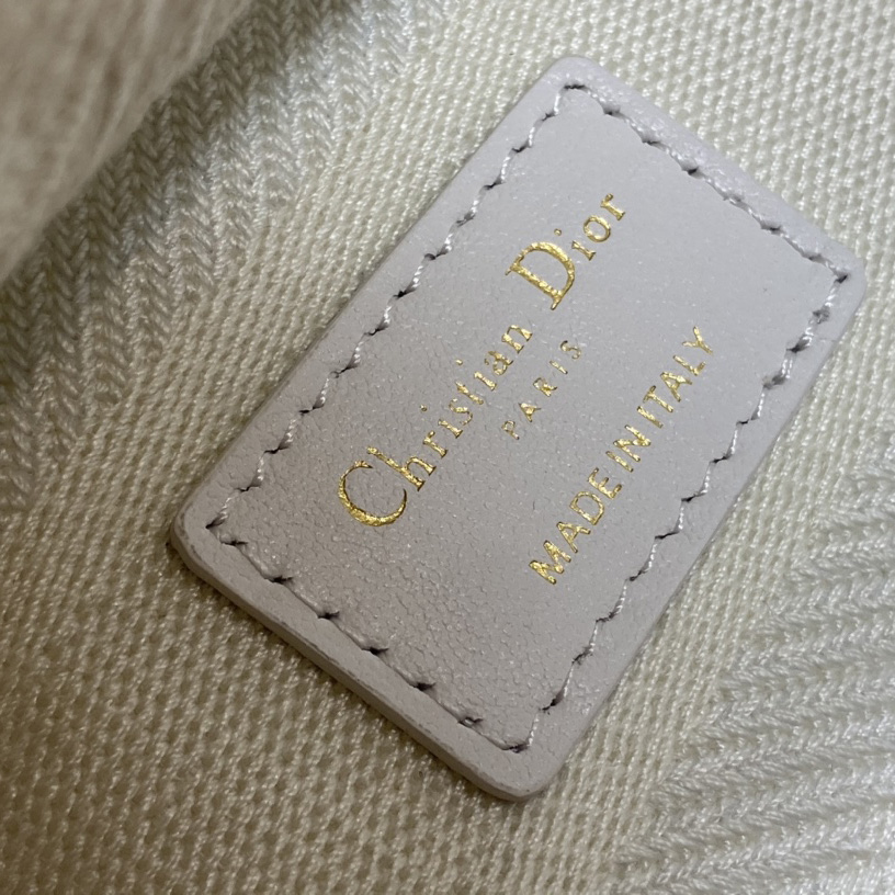 Dior Medium Lady D-lite Bag - FashionPlug