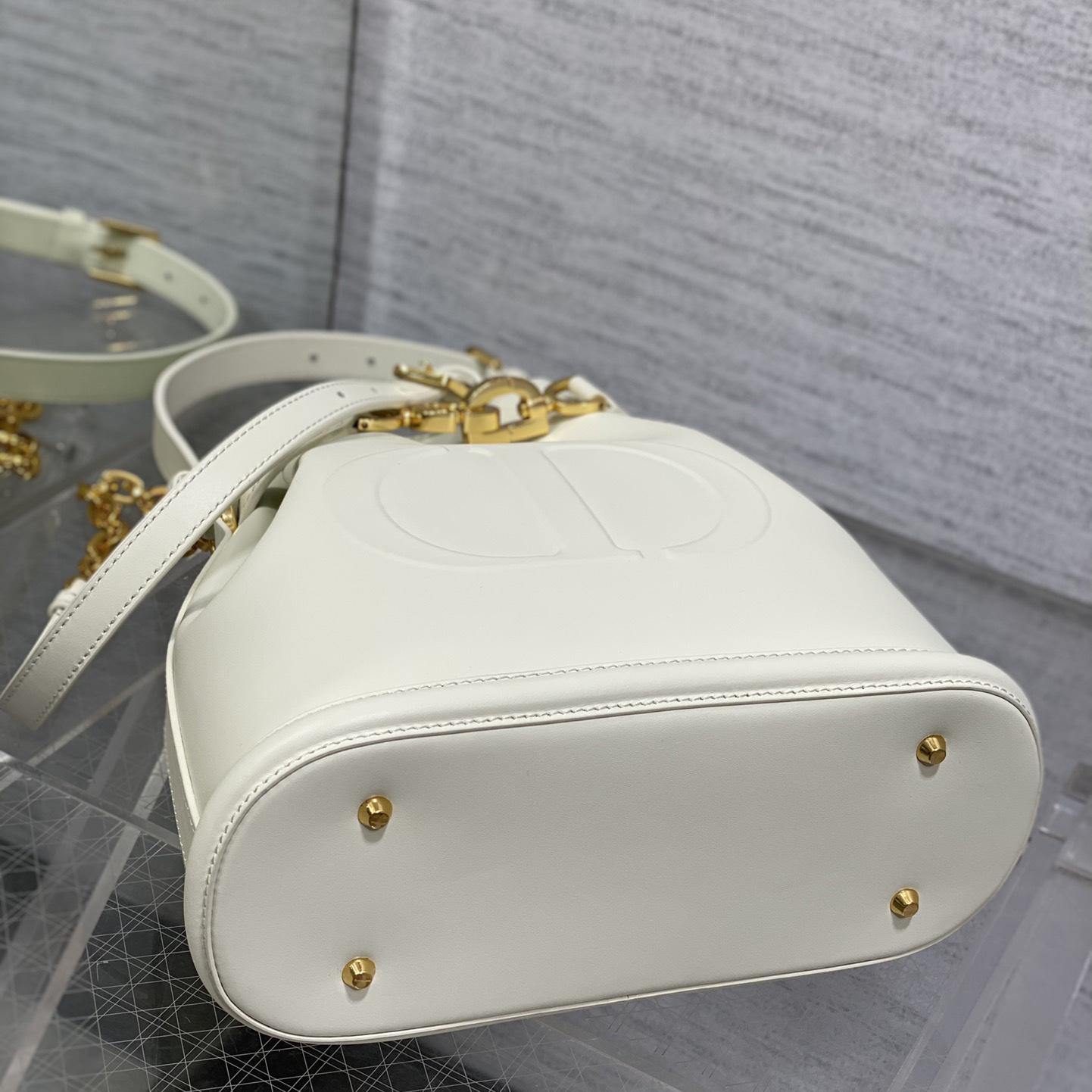 Dior Medium C'est Dior Bag - FashionPlug