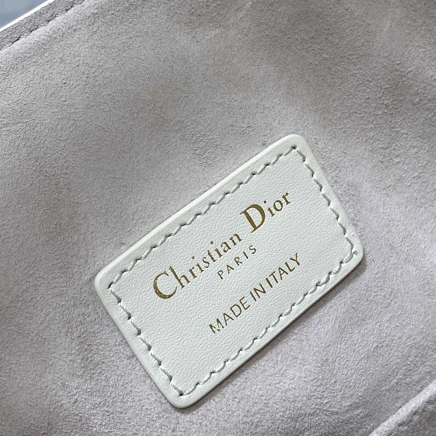 Dior Medium C'est Dior Bag - FashionPlug