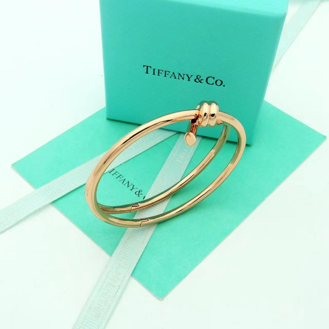Tiffany&CO Tiffany Knot Double Row Hinged Bangle  - FashionPlug