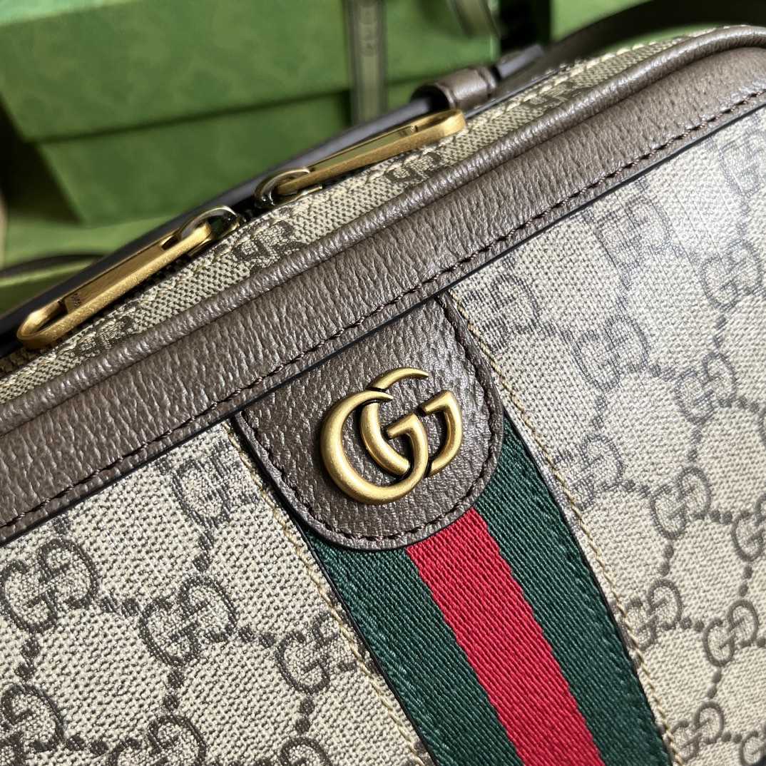 Gucci Ophidia Small Shoulder Bag With Web (24x 16x 7cm) - FashionPlug