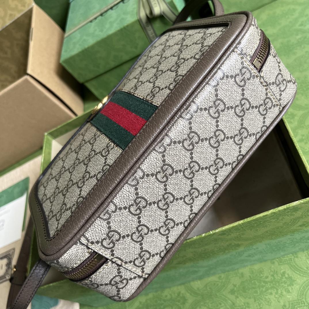Gucci Ophidia Small Shoulder Bag With Web (24x 16x 7cm) - FashionPlug