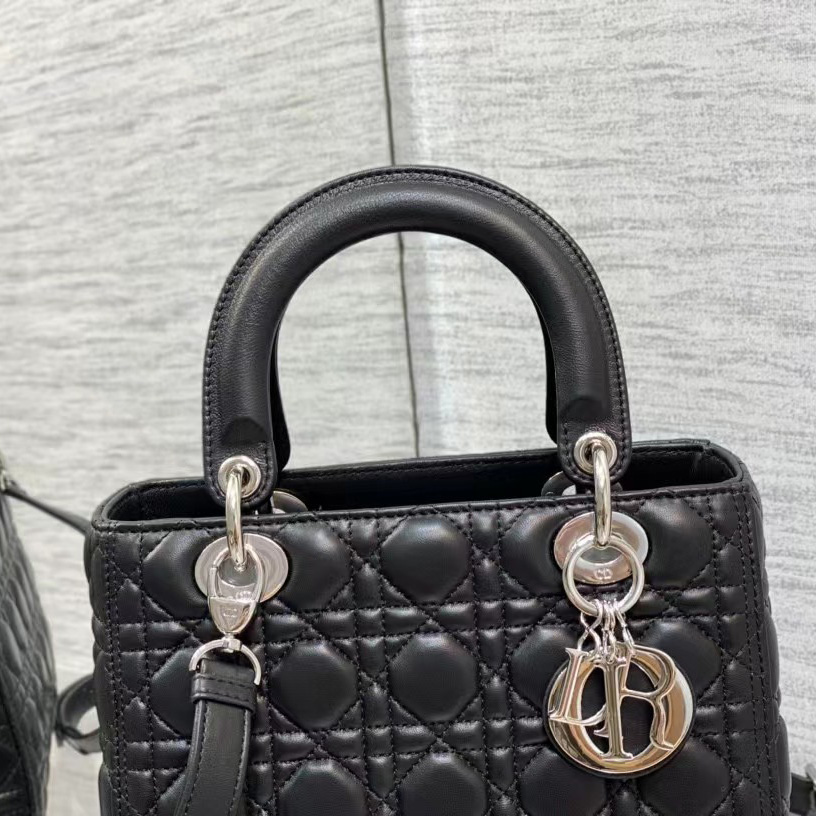 Dior Medium Lady Dior Bag - FashionPlug