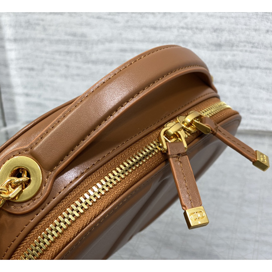 Dior CD Signature Oval Camera Bag - FashionPlug