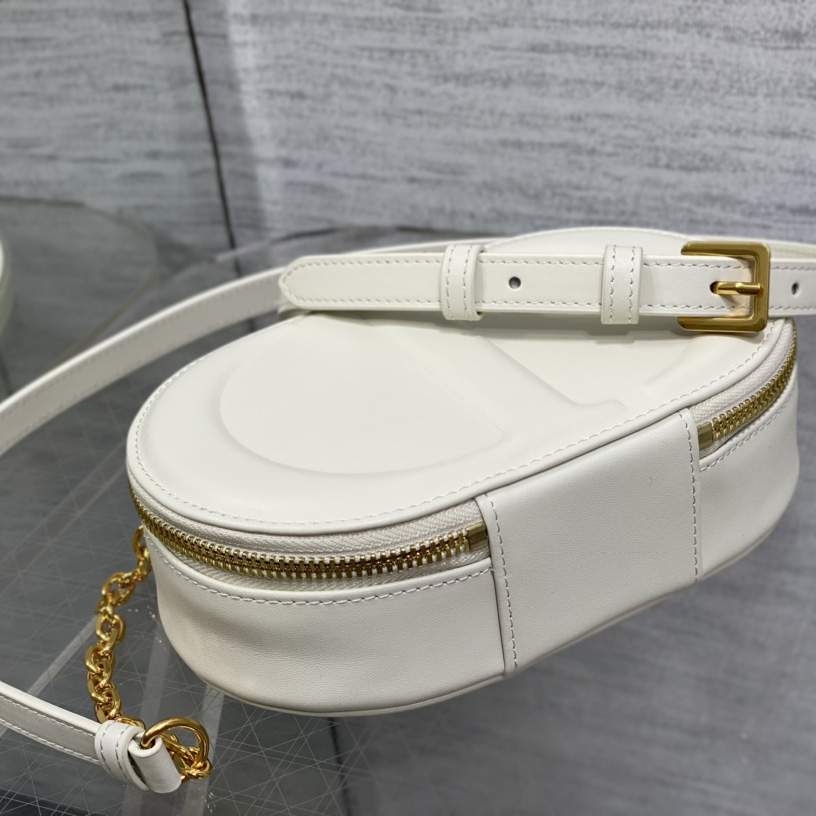 Dior CD Signature Oval Camera Bag - FashionPlug