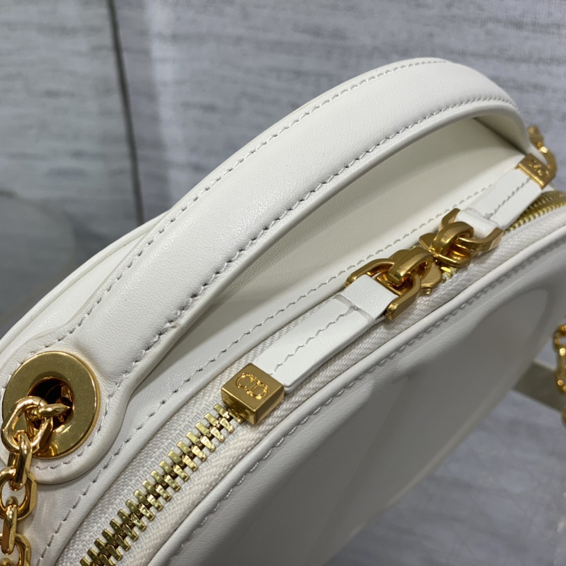 Dior CD Signature Oval Camera Bag - FashionPlug