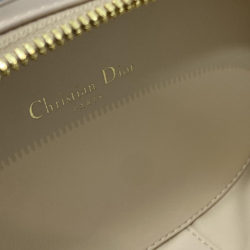 Dior CD Signature Oval Camera Bag - FashionPlug