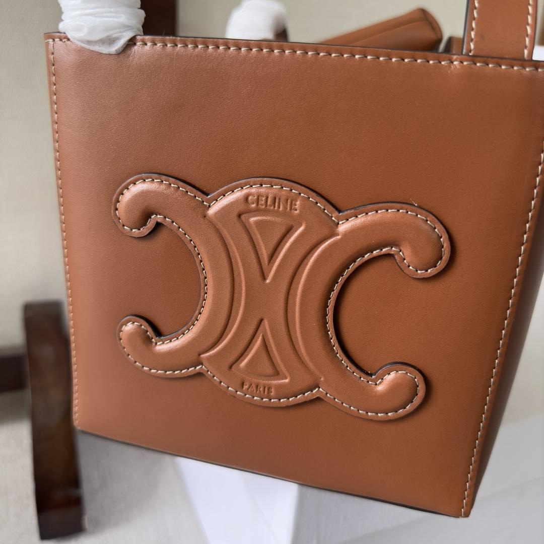 Celine Cube Bag Cuir Triomphe In Shiny Calfskin (15-15-15cm) - FashionPlug
