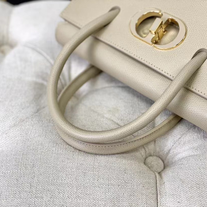 Dior Medium St. Honore Tote (25 -19-12 cm) - FashionPlug