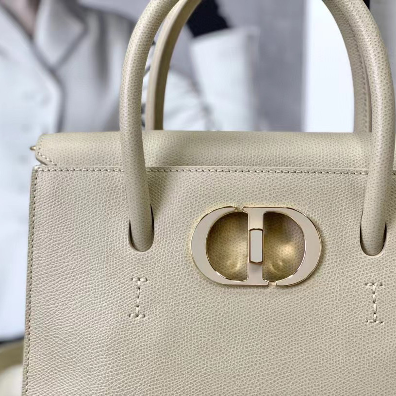 Dior Medium St. Honore Tote (25 -19-12 cm) - FashionPlug