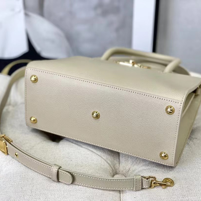 Dior Medium St. Honore Tote (25 -19-12 cm) - FashionPlug