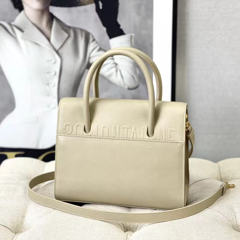 Dior Medium St. Honore Tote (25 -19-12 cm) - FashionPlug