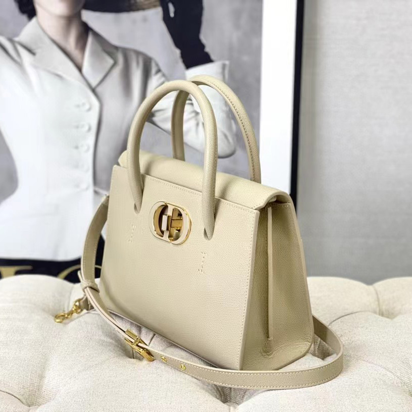 Dior Medium St. Honore Tote (25 -19-12 cm) - FashionPlug