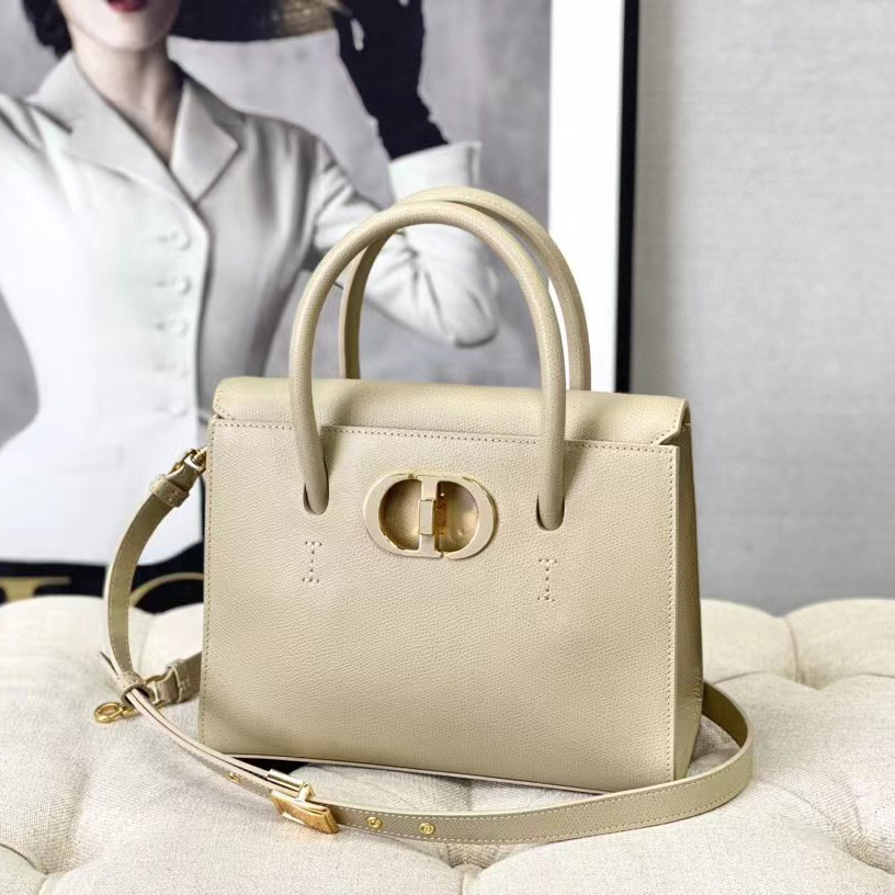 Dior Medium St. Honore Tote (25 -19-12 cm) - FashionPlug