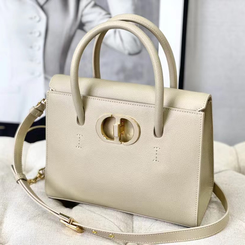 Dior Medium St. Honore Tote (25 -19-12 cm) - FashionPlug
