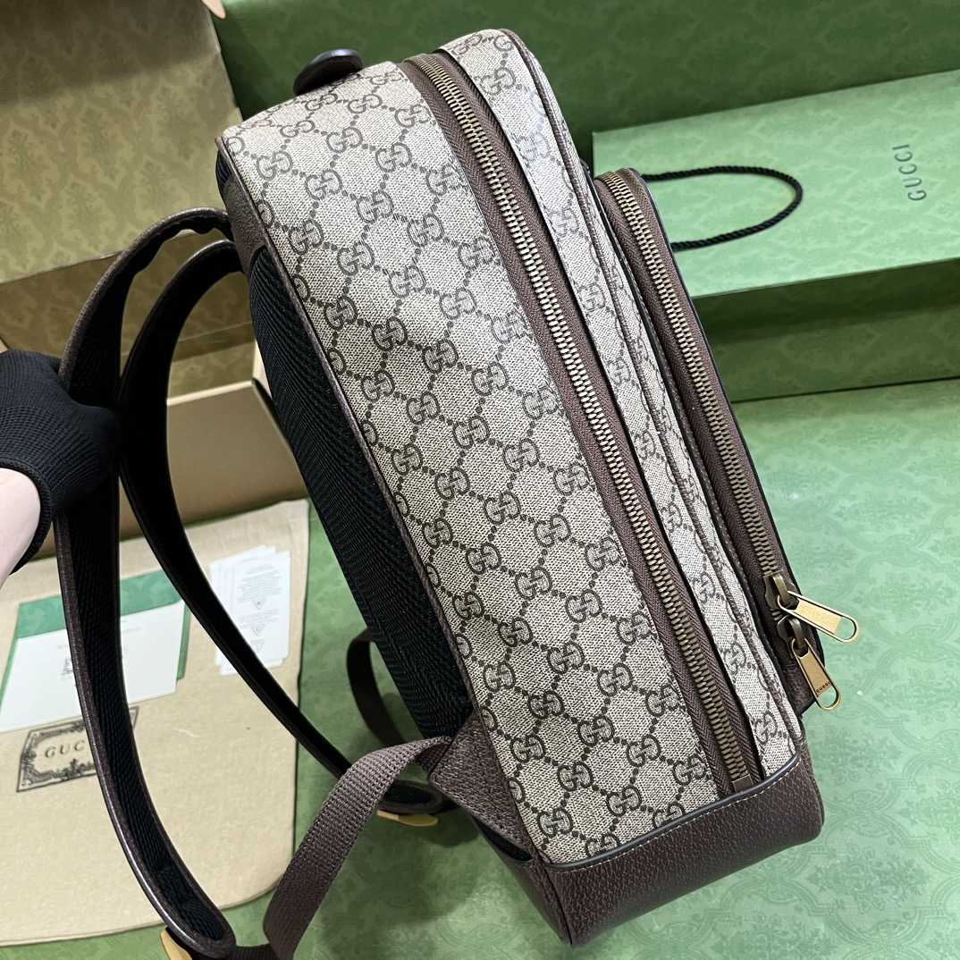 Gucci Ophidia GG Medium Backpack (40-30-14cm) - FashionPlug