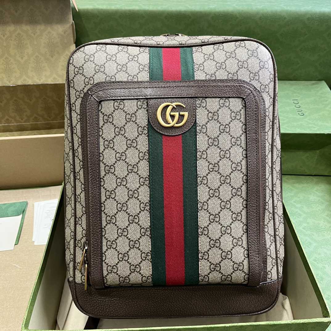 Gucci Ophidia GG Medium Backpack (40-30-14cm) - FashionPlug