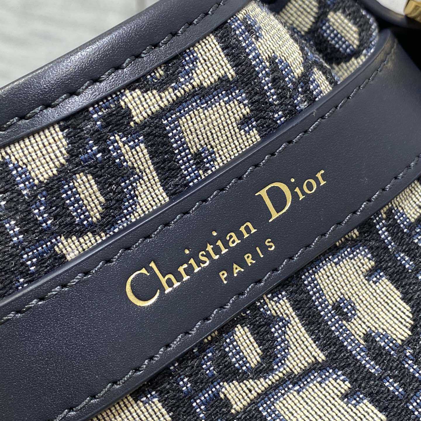 Dior Small C'est Dior Bag  - FashionPlug