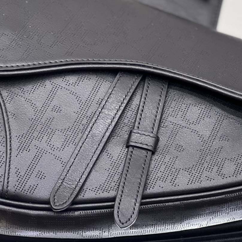 Dior Saddle Bag (20 x 28.6 x 5cm) - FashionPlug