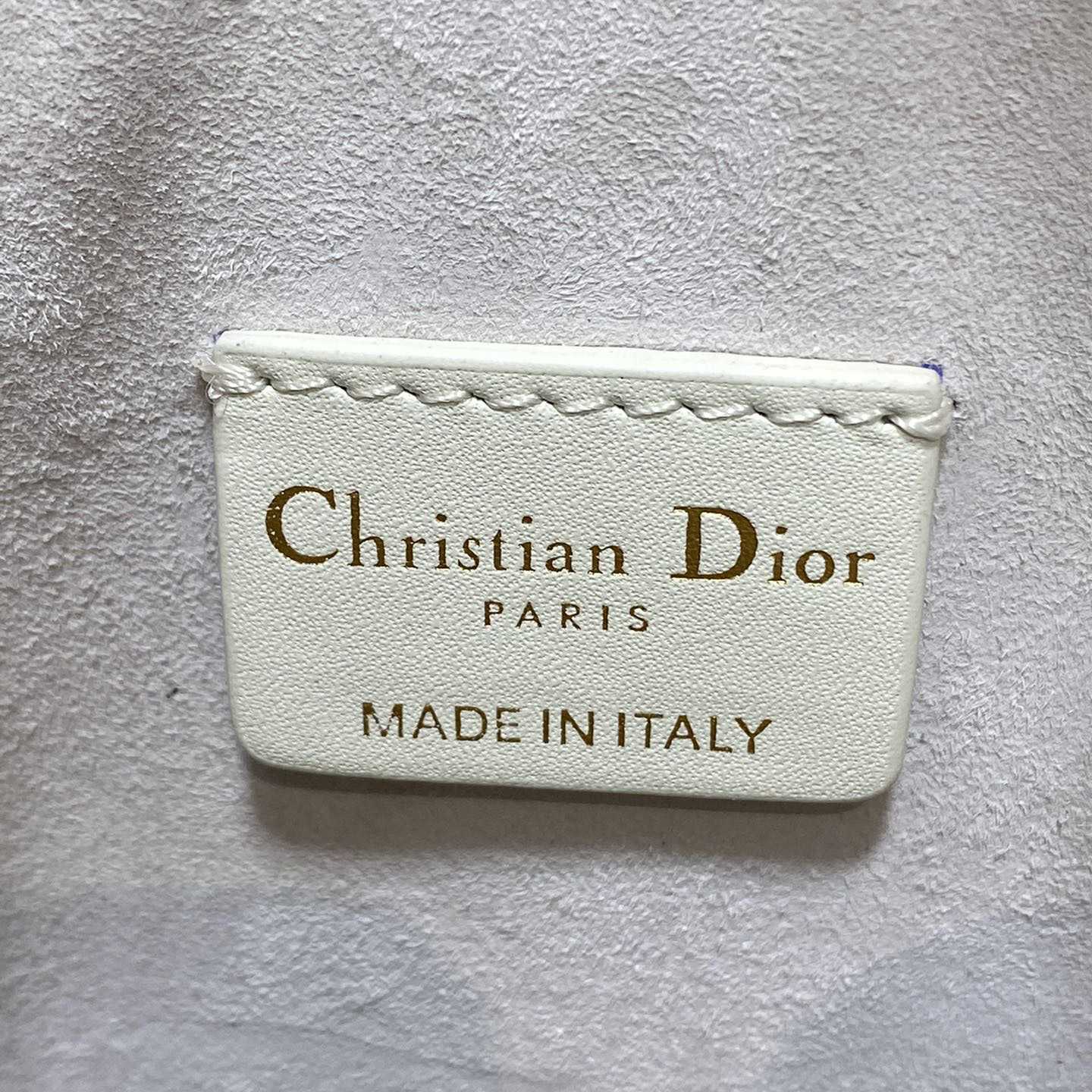 Dior Small C'est Dior Bag  - FashionPlug