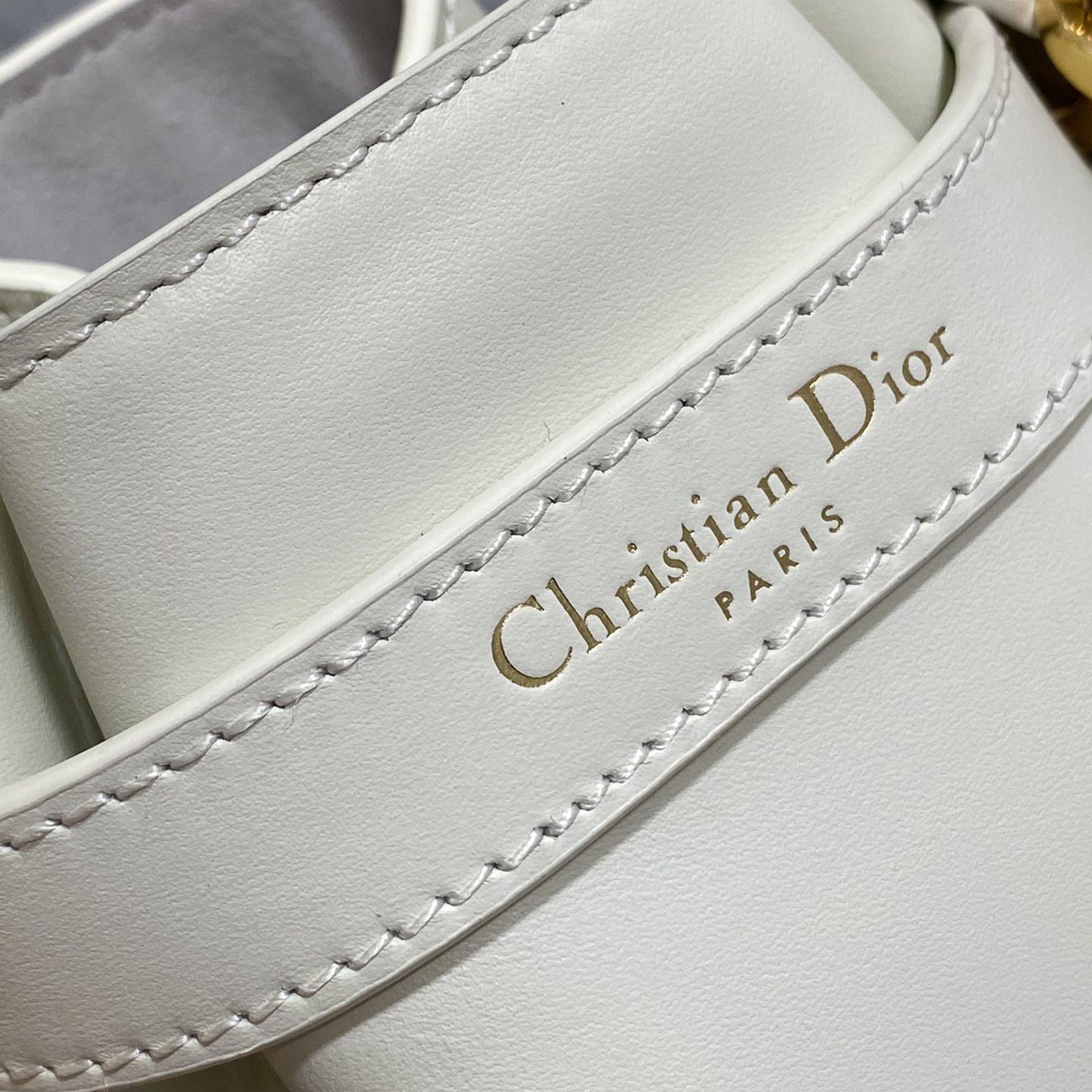 Dior Small C'est Dior Bag  - FashionPlug
