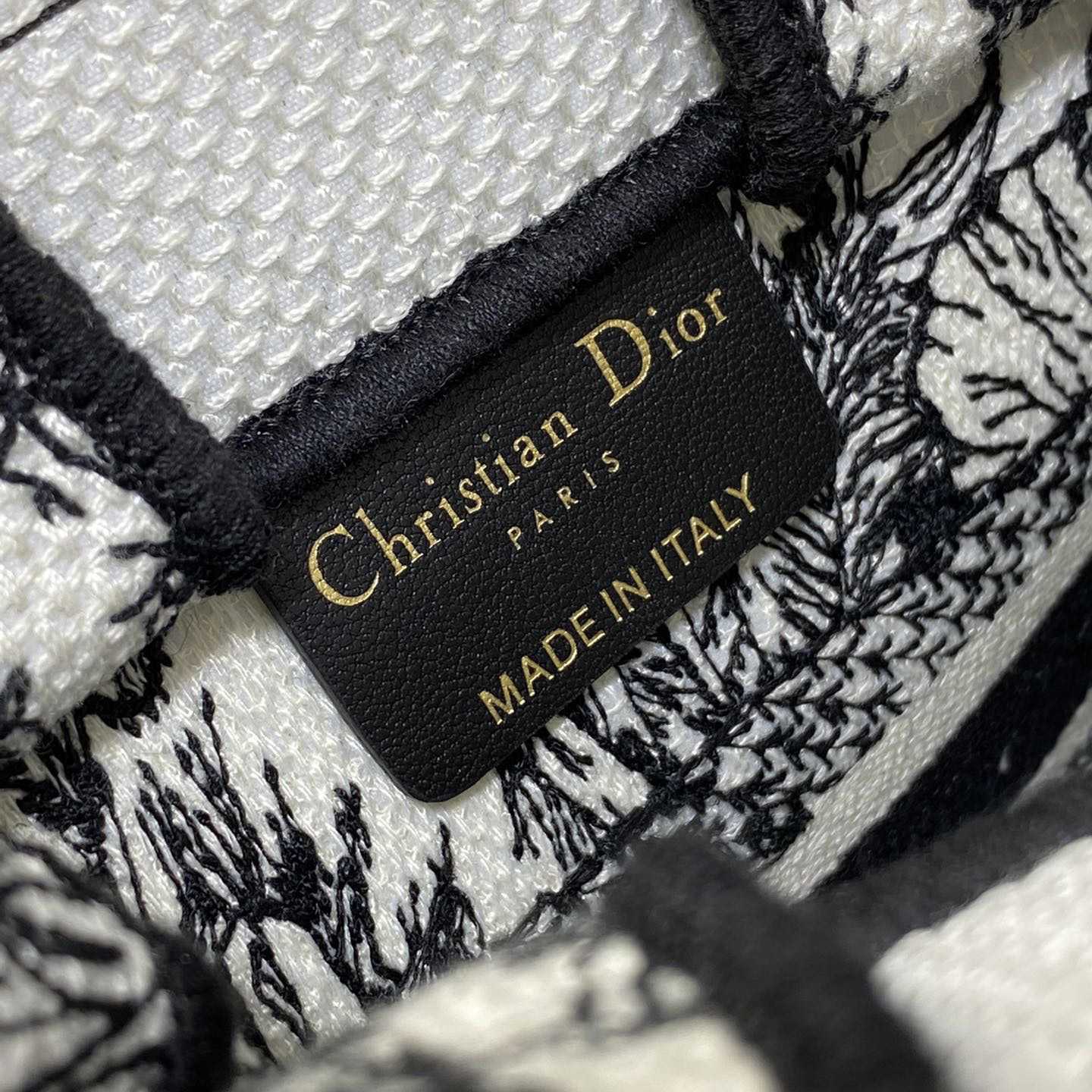 Dior Mini Dior Book Tote Phone Bag - FashionPlug