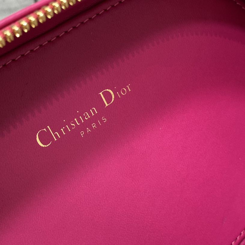 Dior CD Signature Oval Camera Bag - FashionPlug