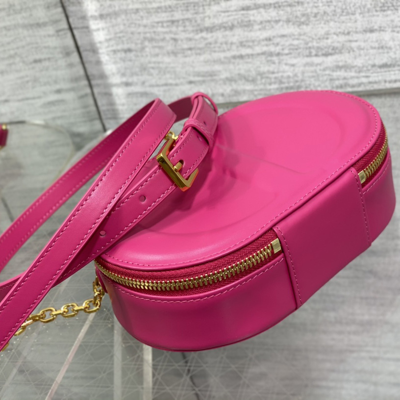 Dior CD Signature Oval Camera Bag - FashionPlug