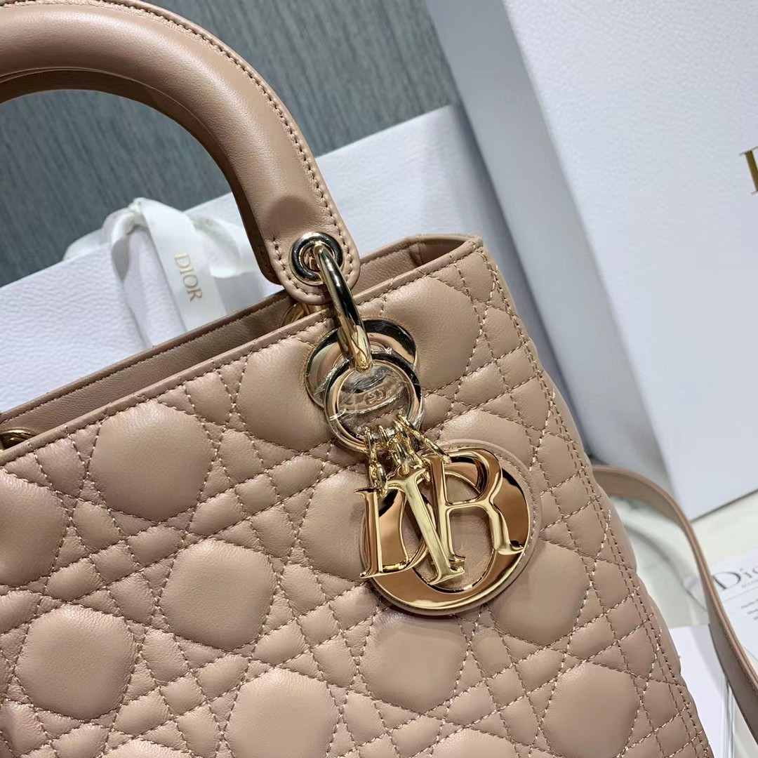 DiorLady Dior Bag  20cm - FashionPlug