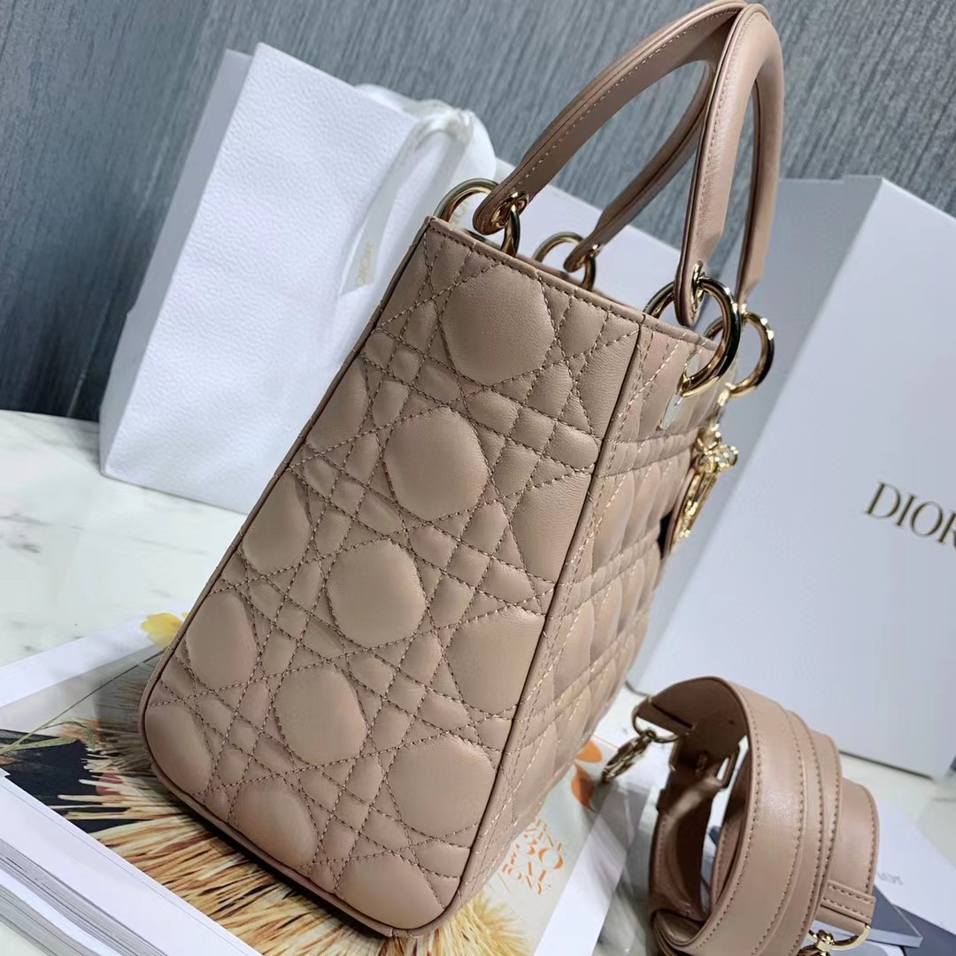 DiorLady Dior Bag  20cm - FashionPlug