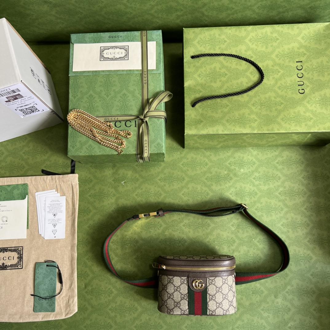 Gucci Ophidia GG Belt Bag (18-12-6cm) - FashionPlug