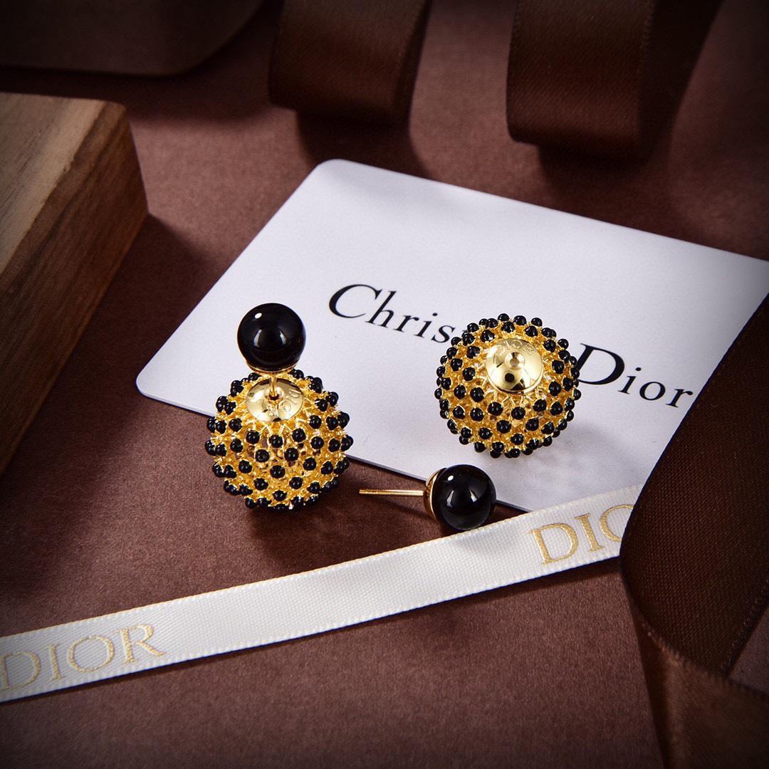 Dior Tribales Earrings - FashionPlug