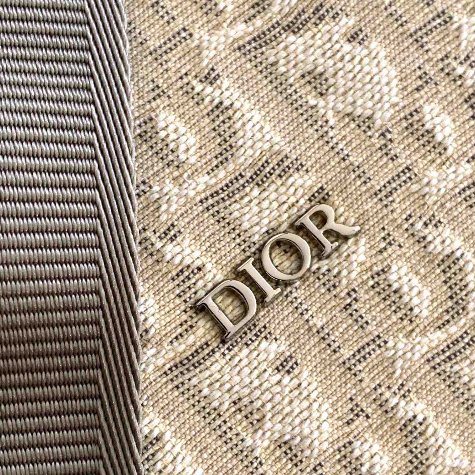 Dior Lingot 50 Bag - FashionPlug