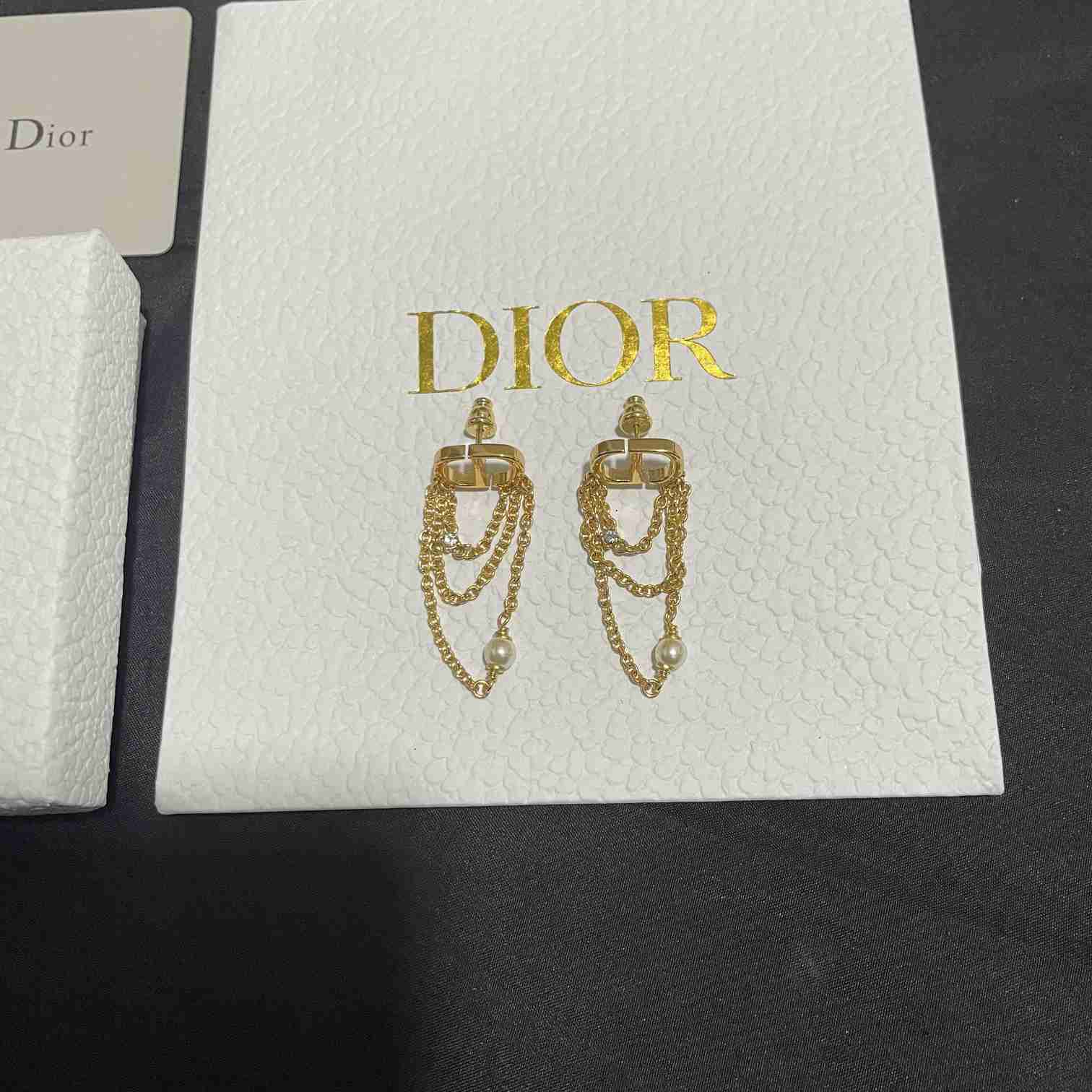 Dior Petit CD Earrings  - FashionPlug