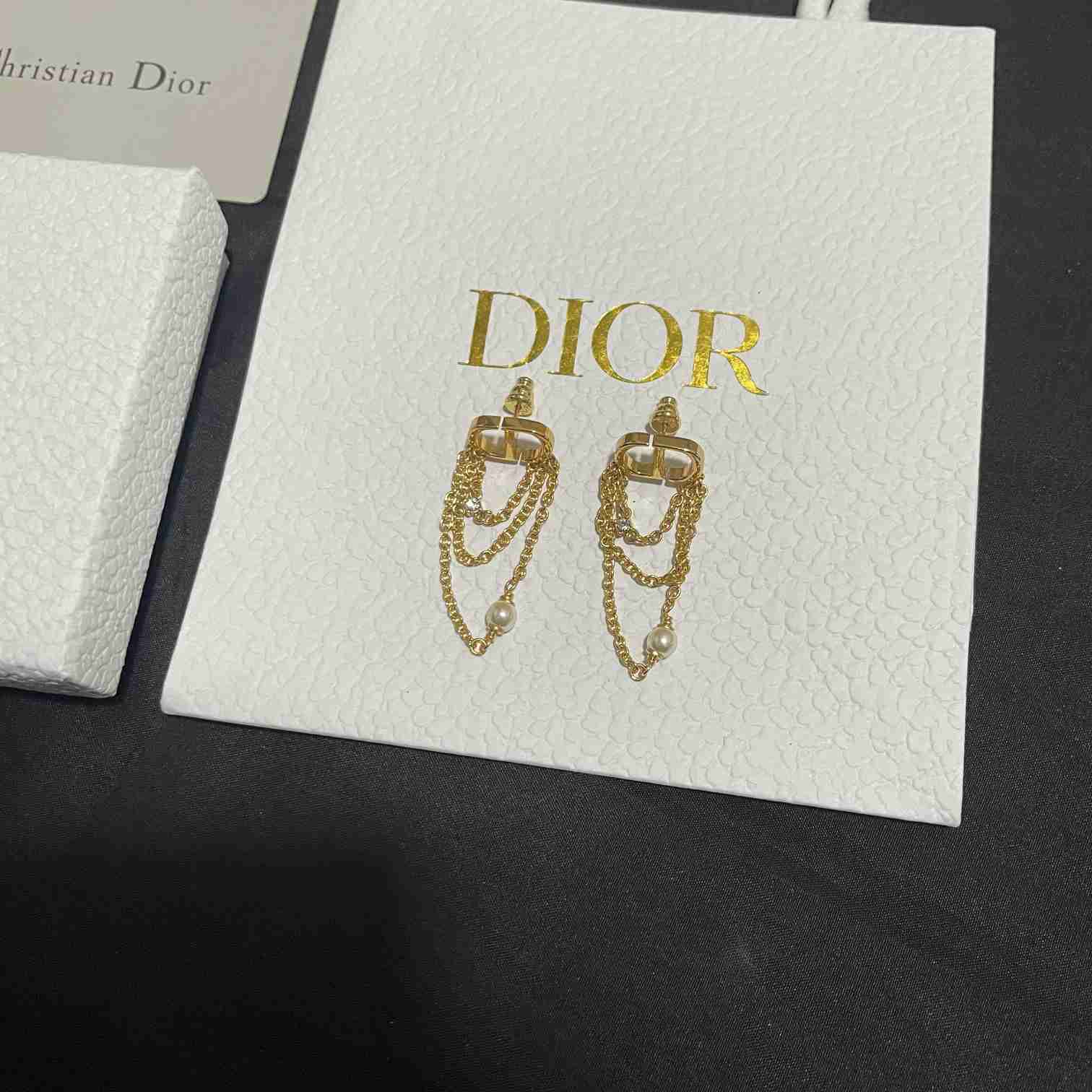 Dior Petit CD Earrings  - FashionPlug