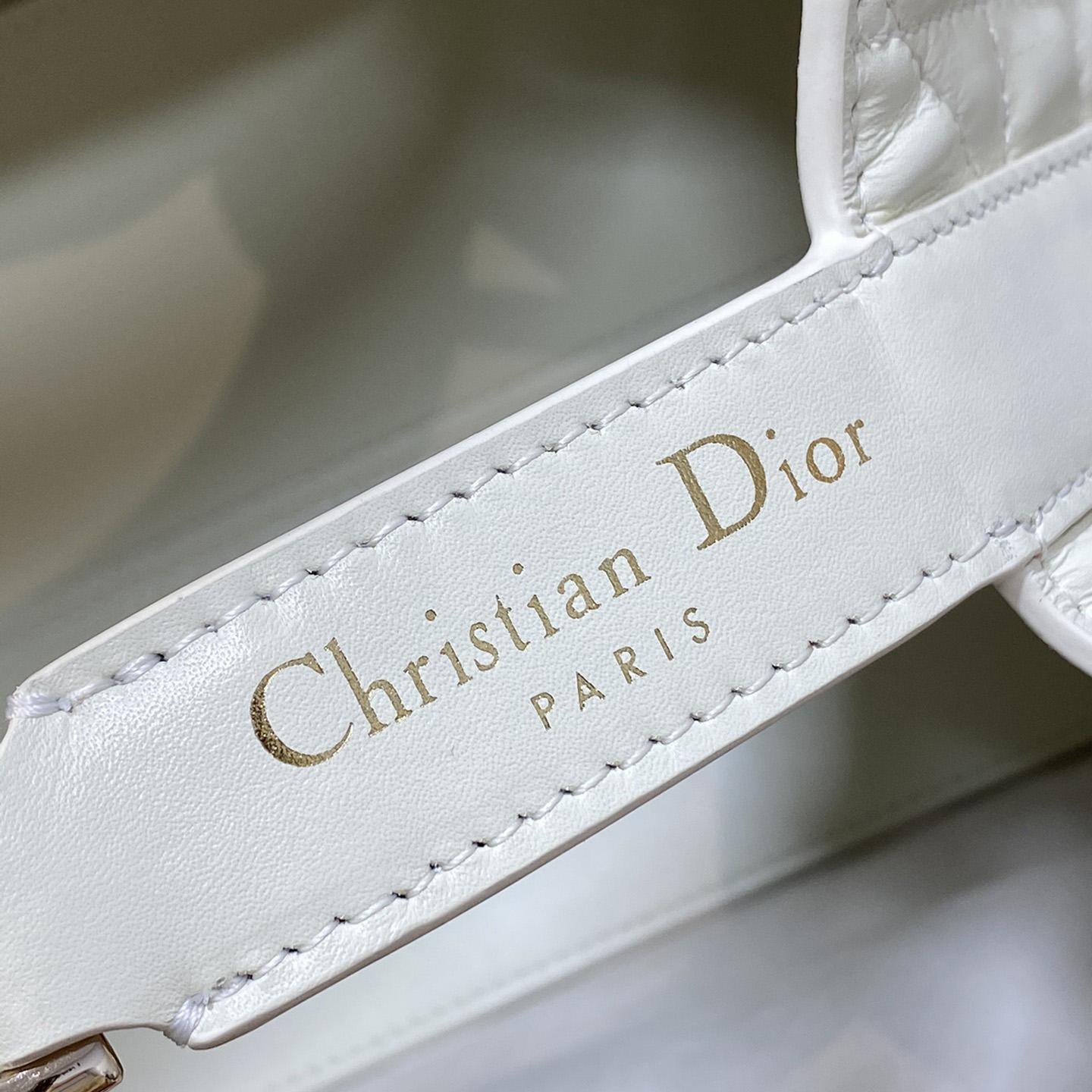 Dior Medium Dior Toujours Bag - FashionPlug