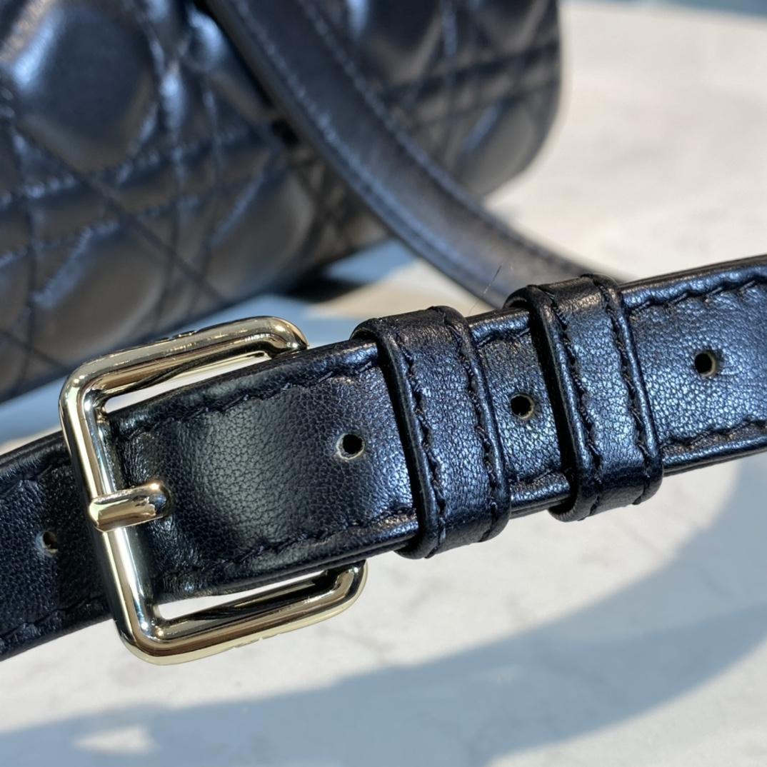 Dior Medium Lady Dior Bag - FashionPlug
