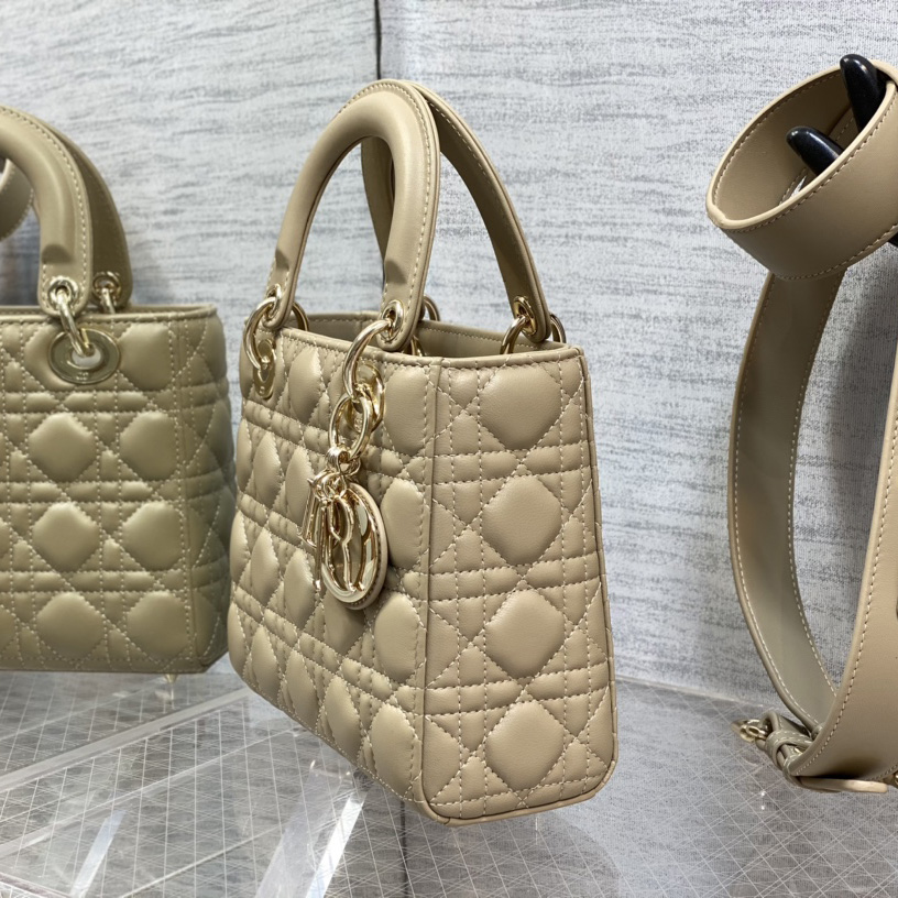 Dior Medium Lady Dior Bag - FashionPlug