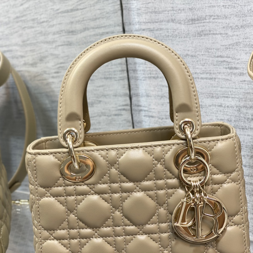 Dior Medium Lady Dior Bag - FashionPlug